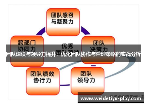 团队建设与领导力提升：优化团队协作与管理策略的实战分析