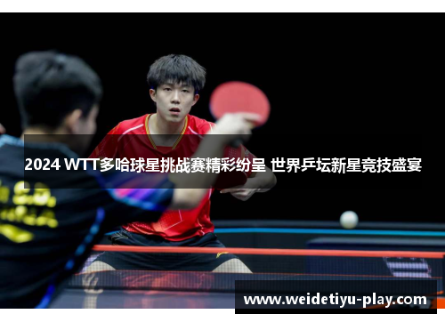 2024 WTT多哈球星挑战赛精彩纷呈 世界乒坛新星竞技盛宴