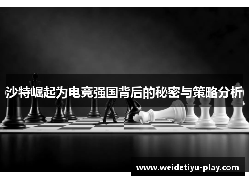 沙特崛起为电竞强国背后的秘密与策略分析