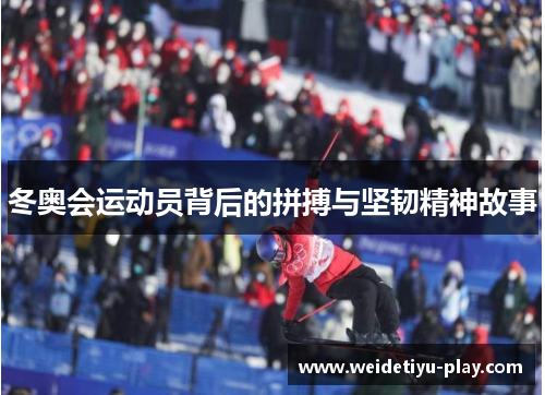 冬奥会运动员背后的拼搏与坚韧精神故事