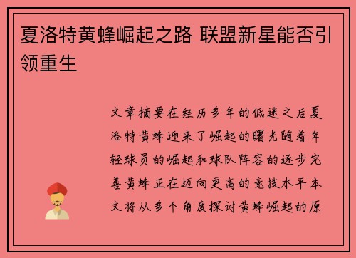 夏洛特黄蜂崛起之路 联盟新星能否引领重生