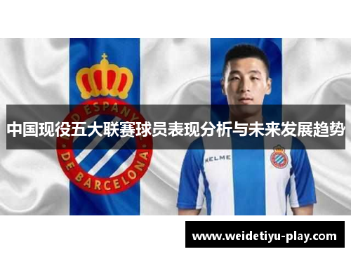 中国现役五大联赛球员表现分析与未来发展趋势